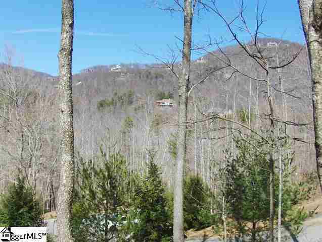 10 Buck Creek Trail - Photo 1