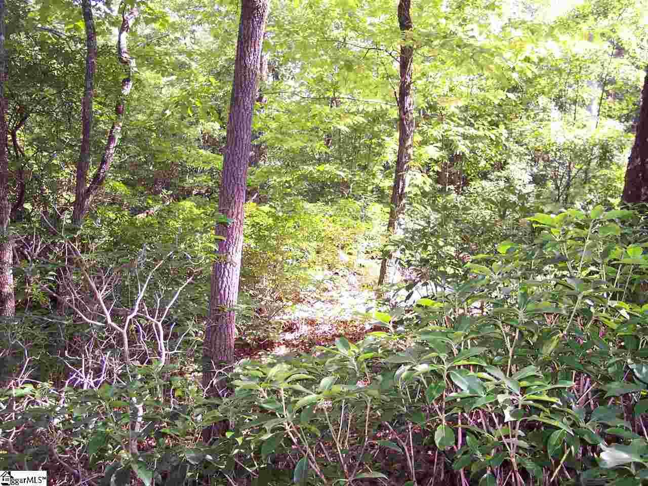 Lot 5 Woods Pond Court - Photo 1