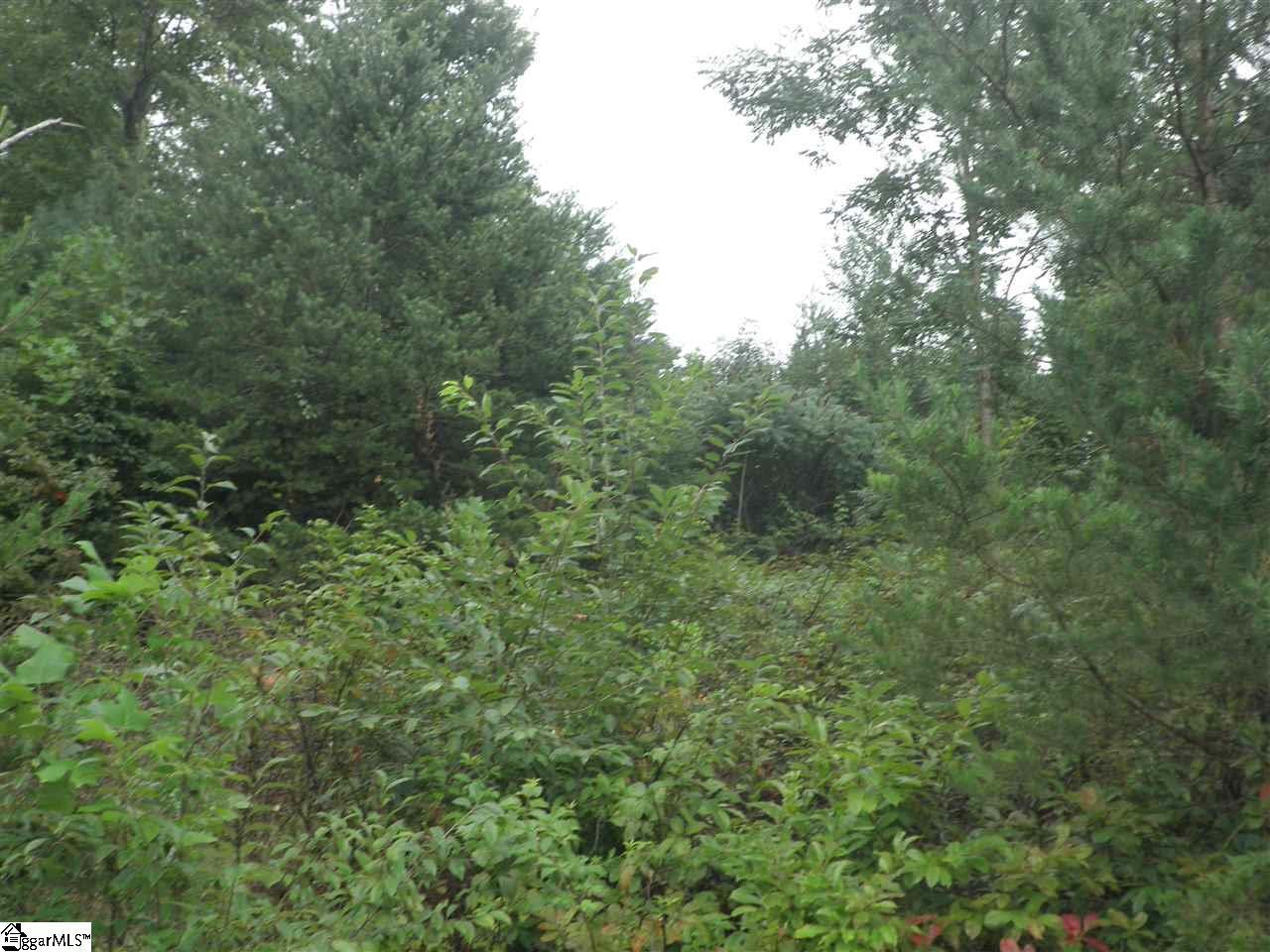 342 Woodmere Drive - Photo 1
