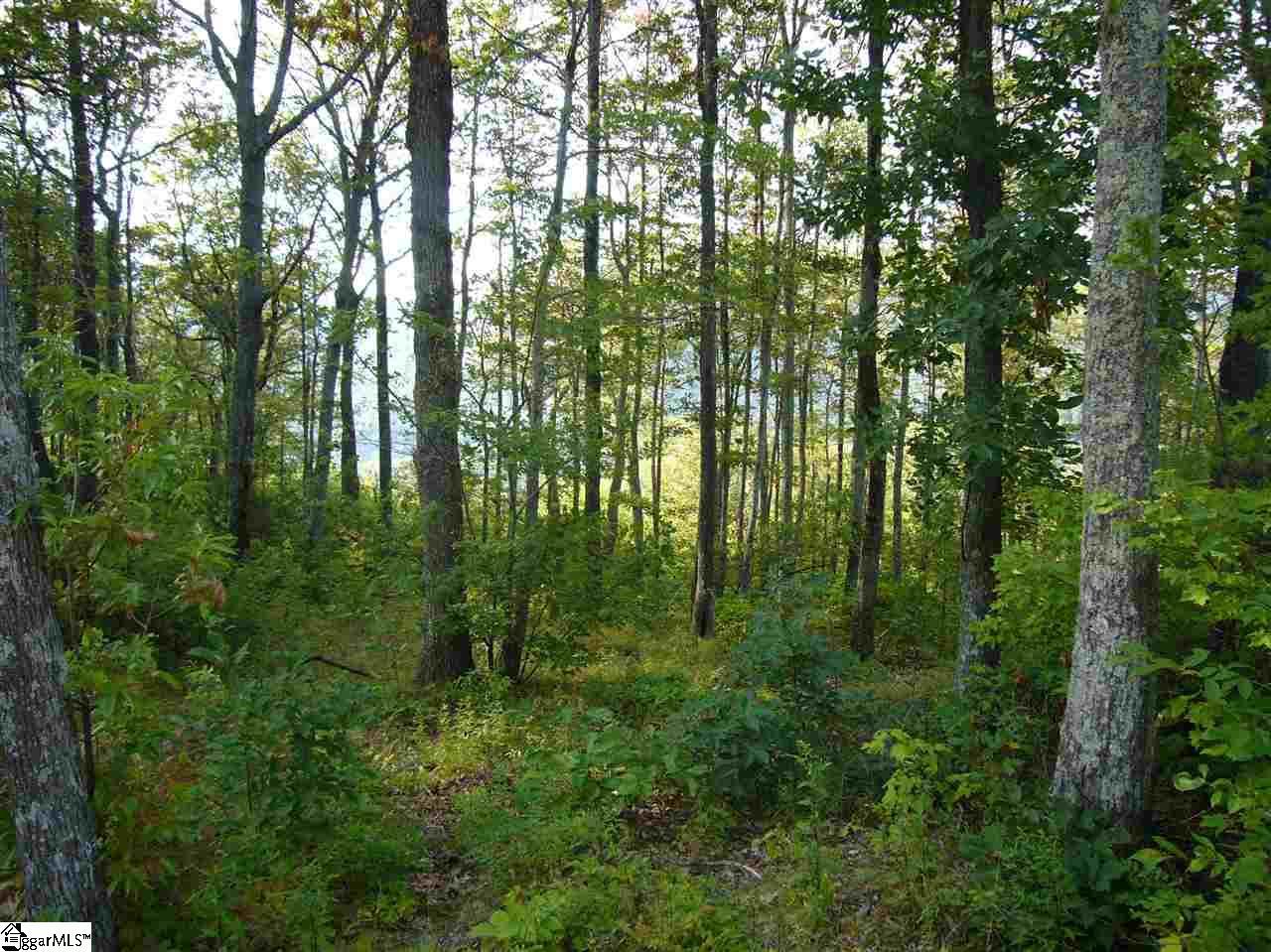 11 Rhone Valley Lane - Photo 1