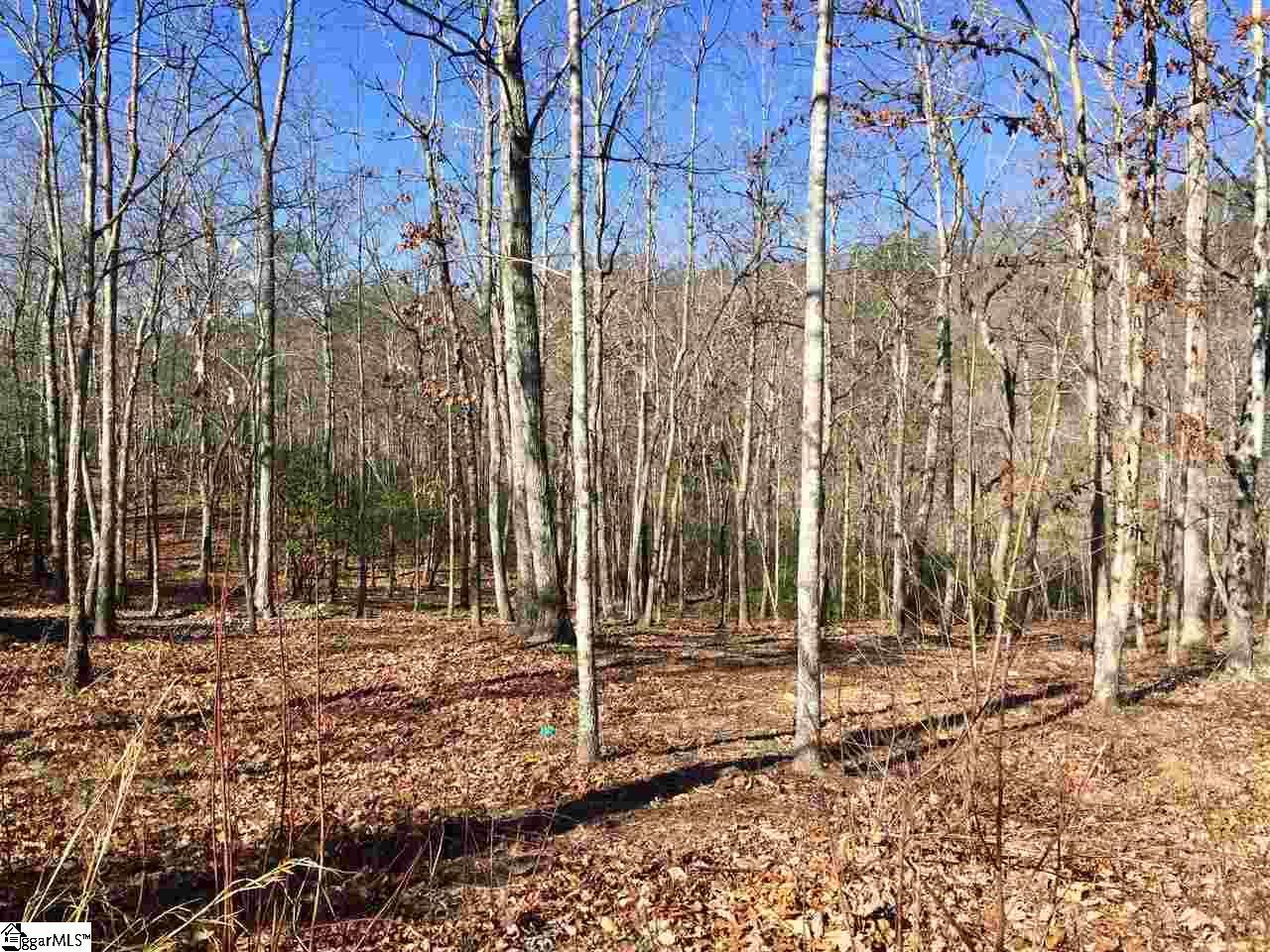 141 Duck Hawk Way - Photo 1