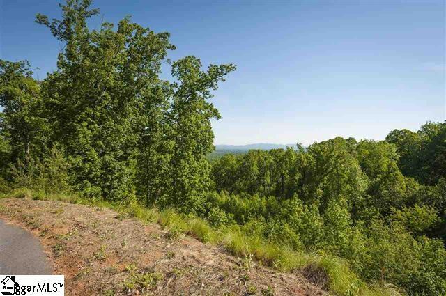 21 Windfaire Pass Court - Photo 1