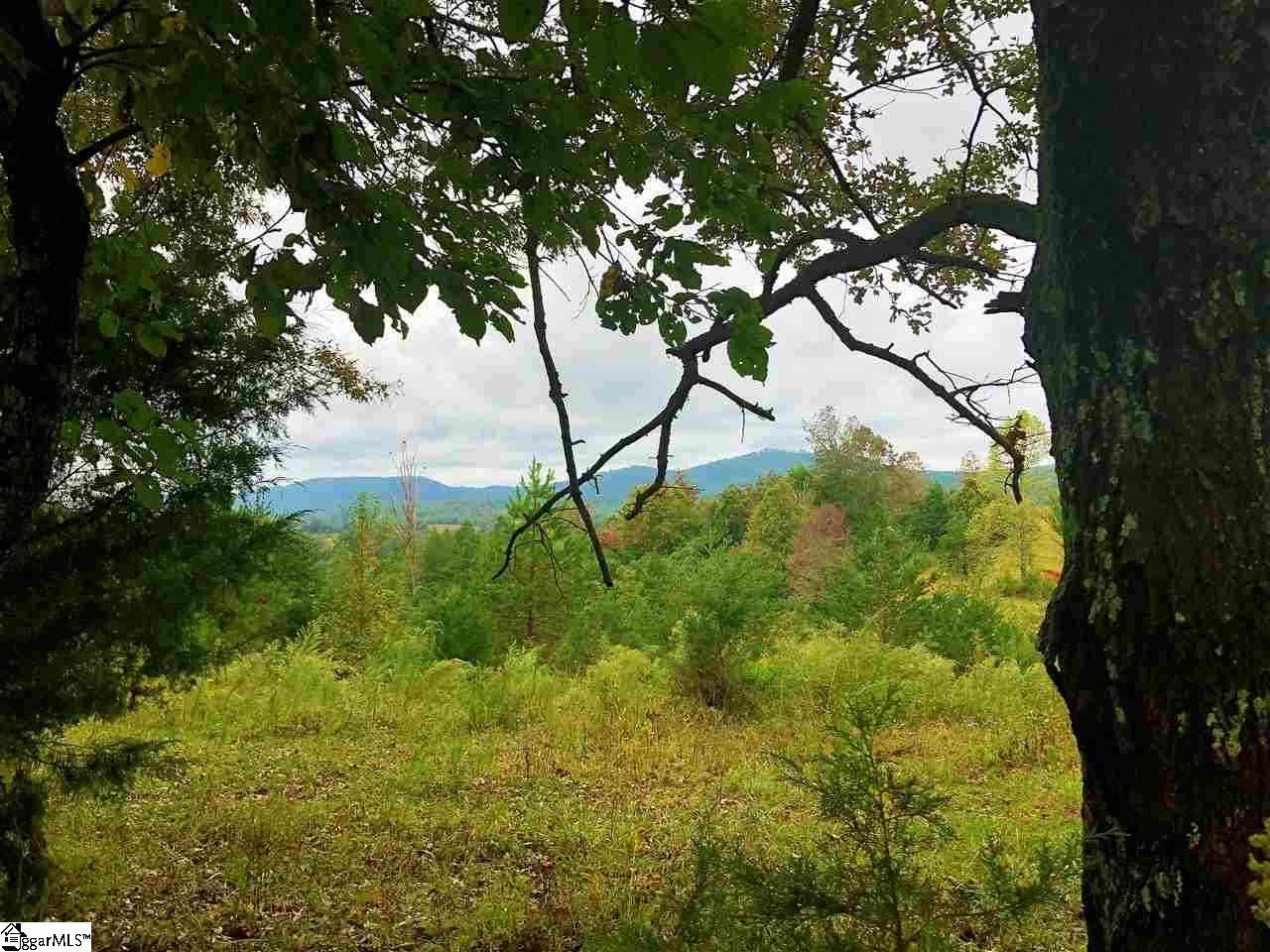 0 Zion Road - Photo 1