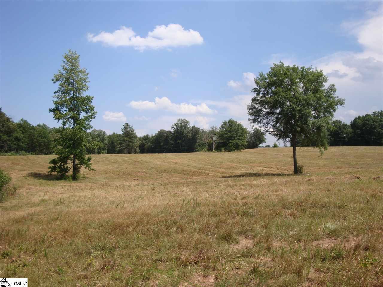 1980 Rabun Church Road - Photo 1