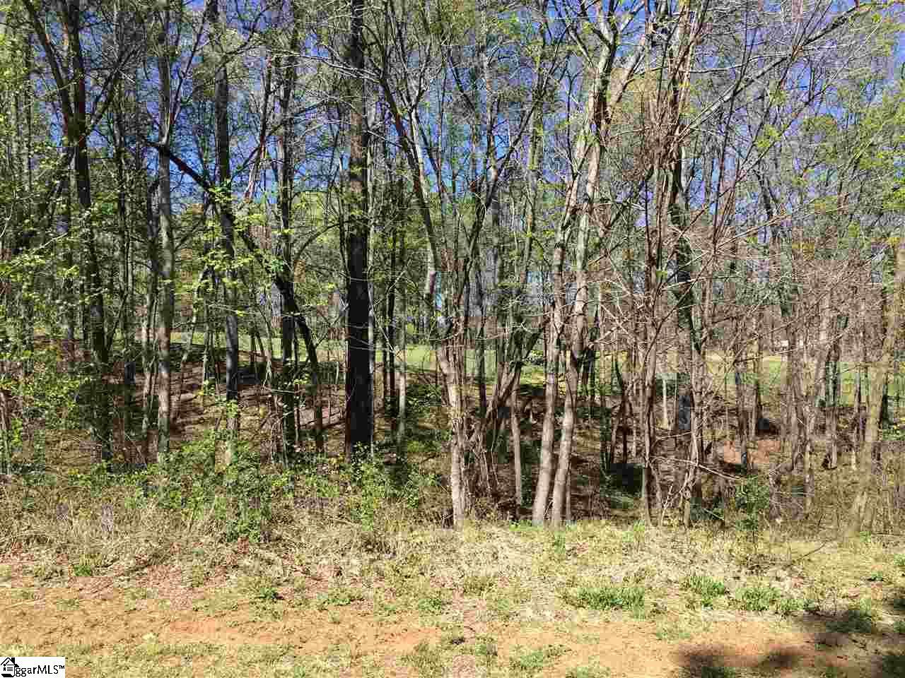 126 Laurel Valley Way - Photo 1