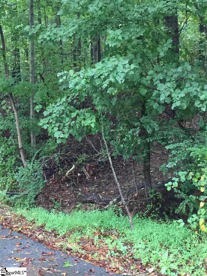 00 Suzanne Circle - Photo 1