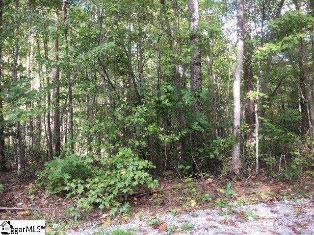 619 Range Trail - Photo 1