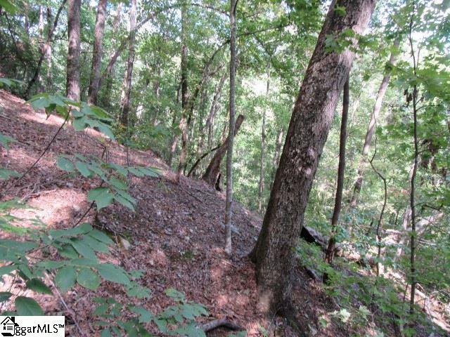 832 Whispering Falls Drive - Photo 1