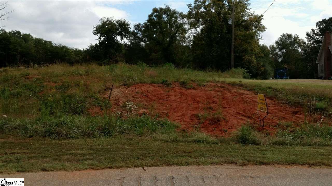 Blacksnake Road - Photo 1