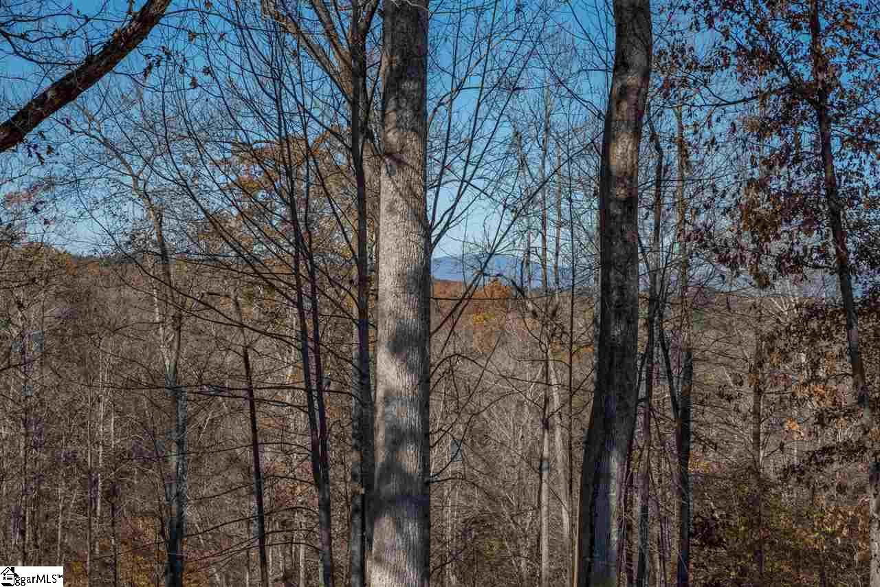 1340 Artesian Lane - Photo 1