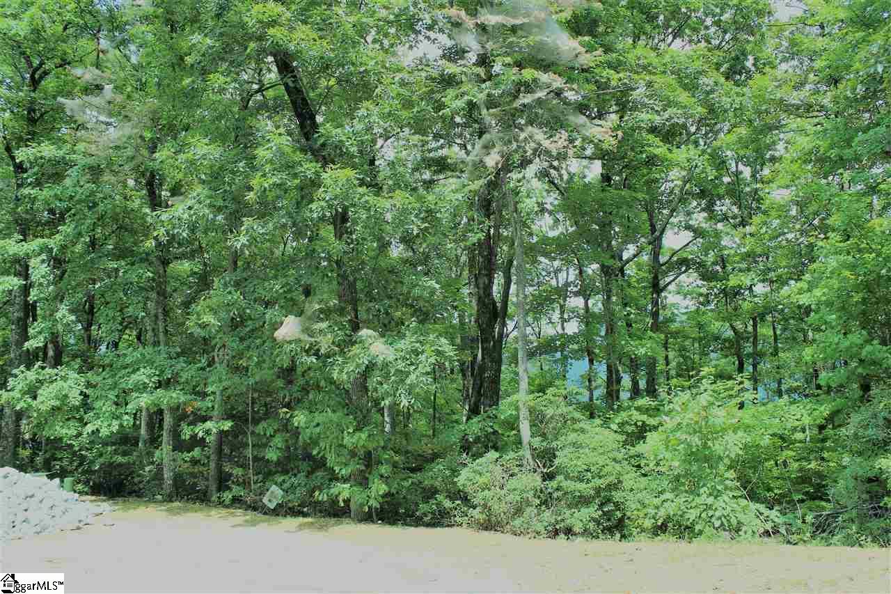 1526 Panther Park Trail - Photo 1