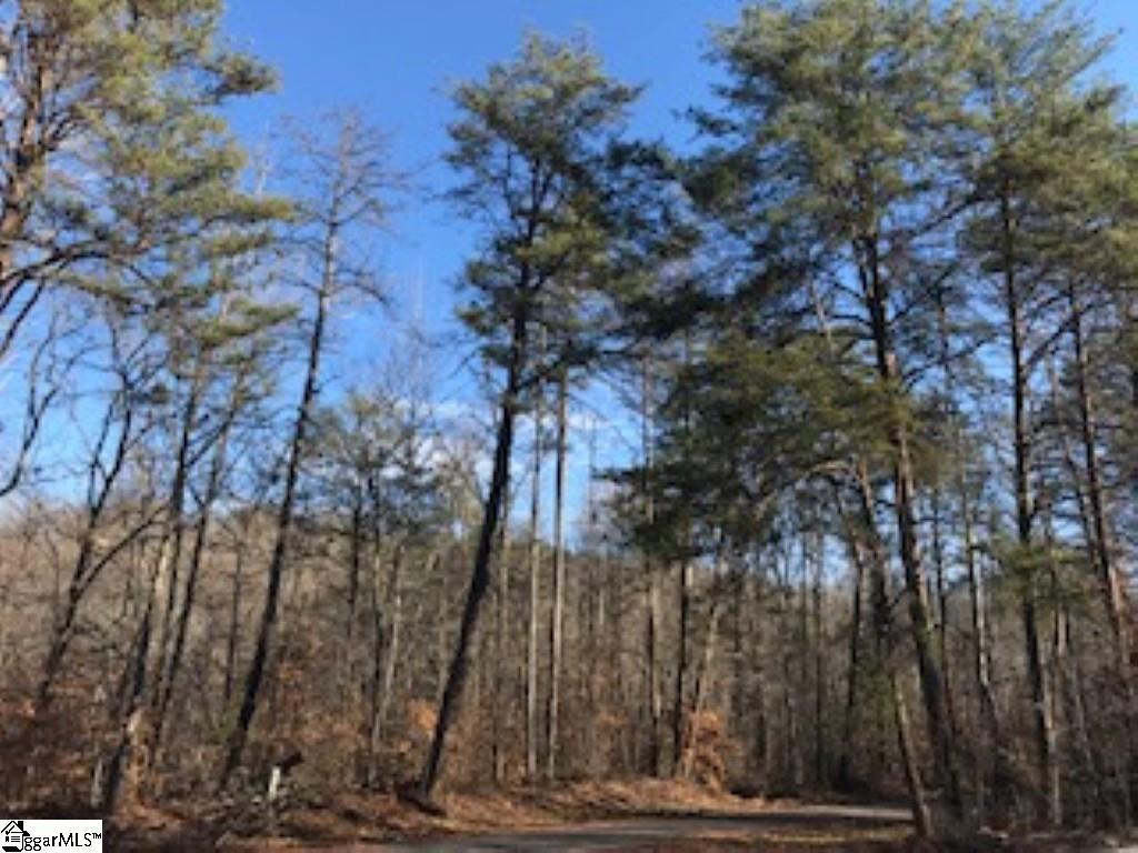 170 Lake Circle Road - Photo 1