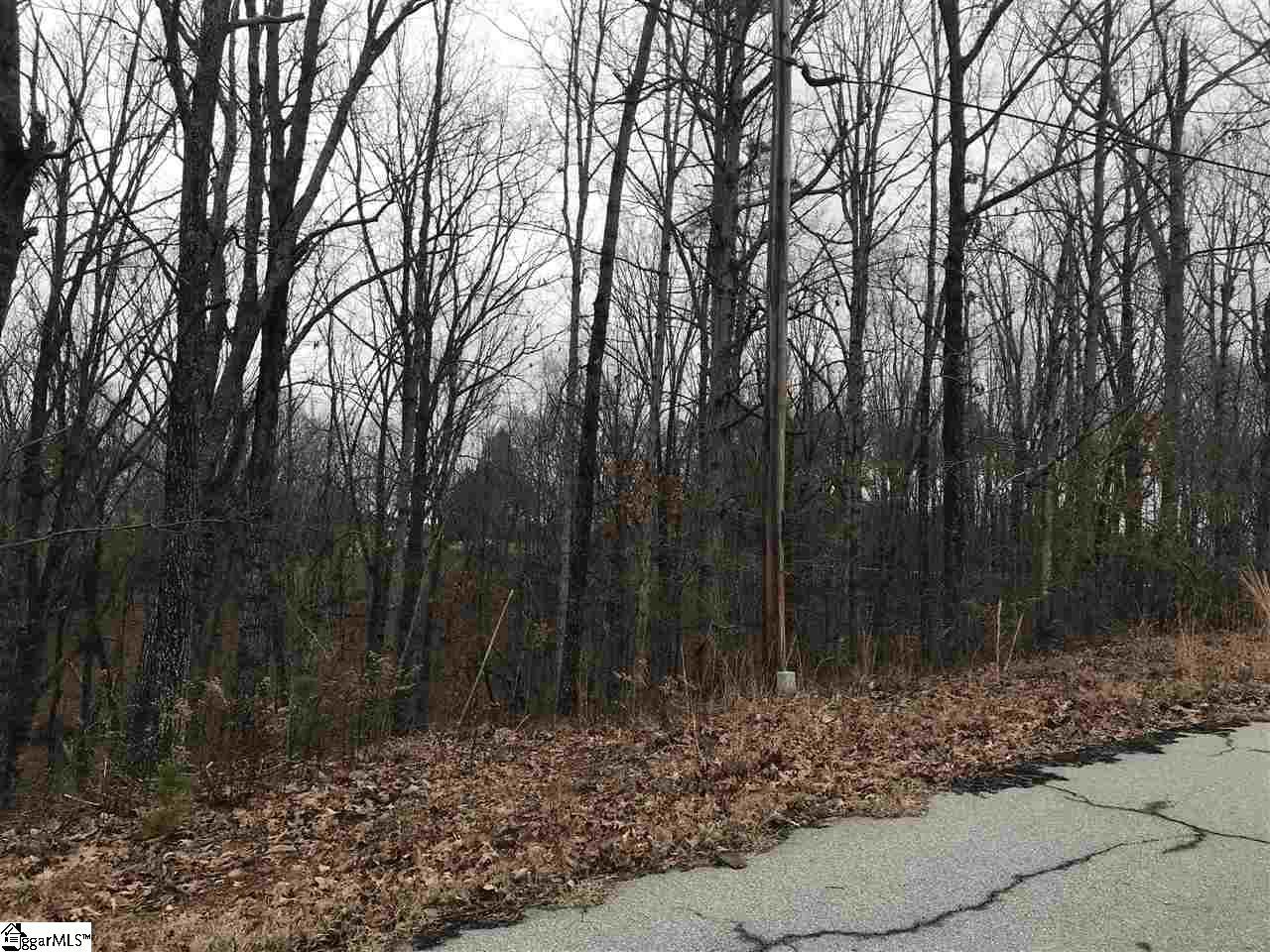128 Toby Hills Road - Photo 1