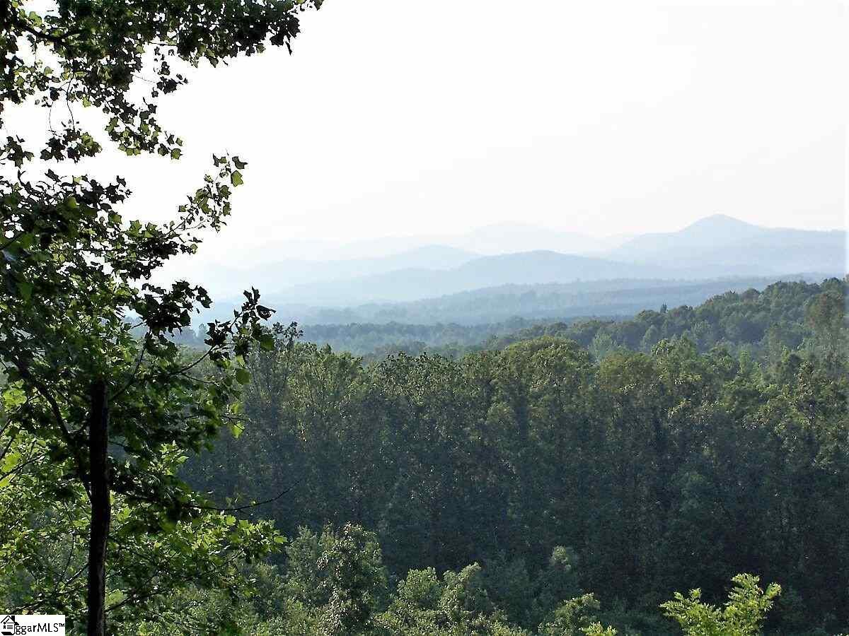 35 Packforest Road - Photo 1