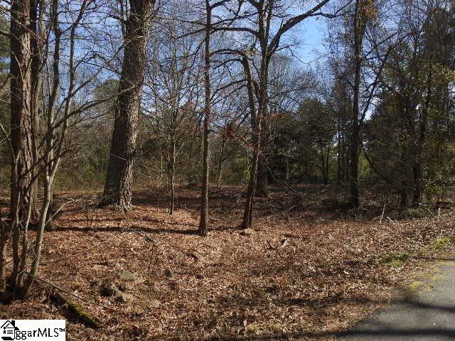 364 Wofford Shoals Road - Photo 1