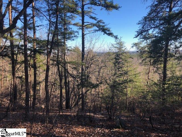 S51 Stone Terrace Way - Photo 1