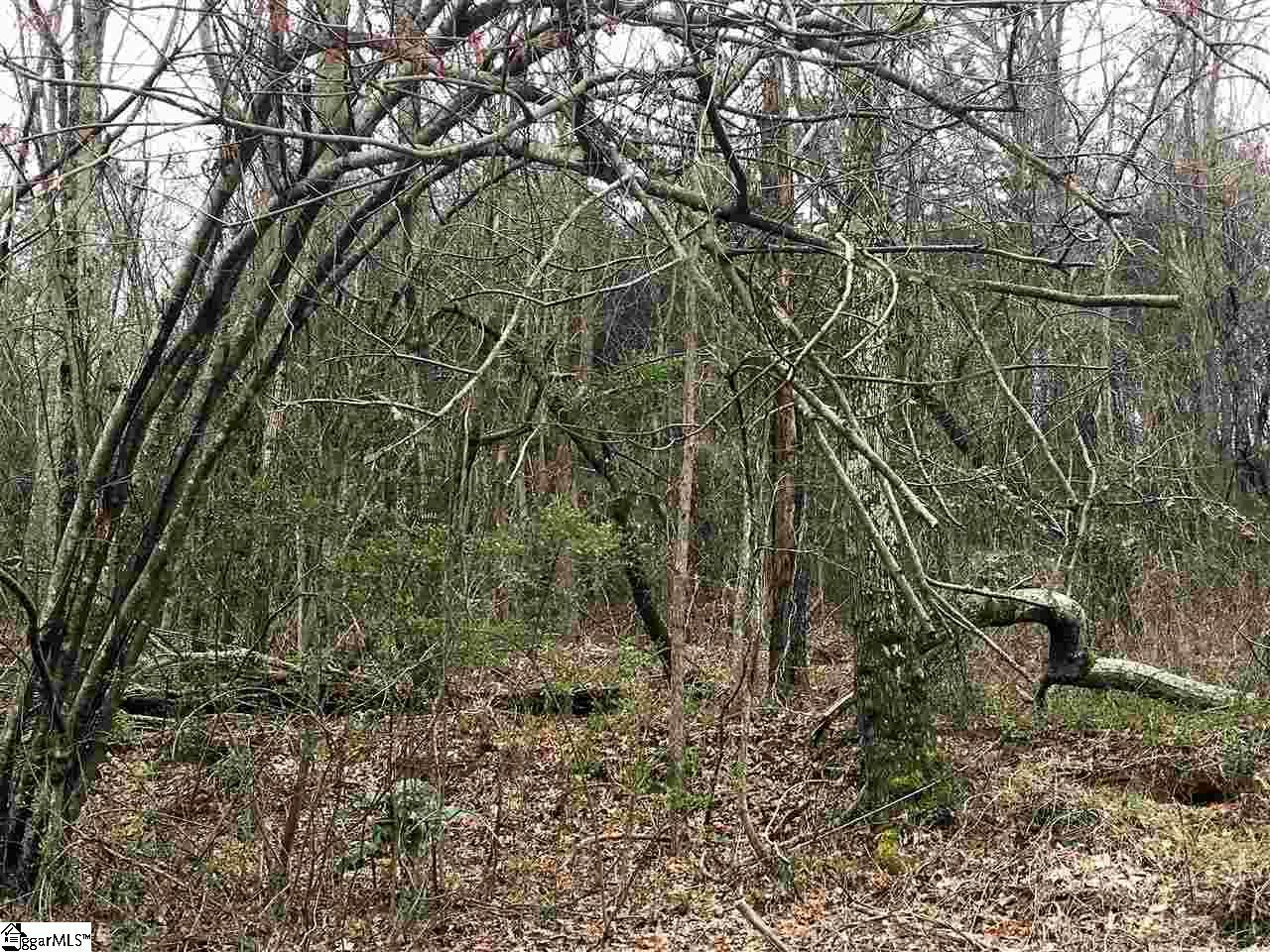 00 Fruit Mountain Road - Photo 1