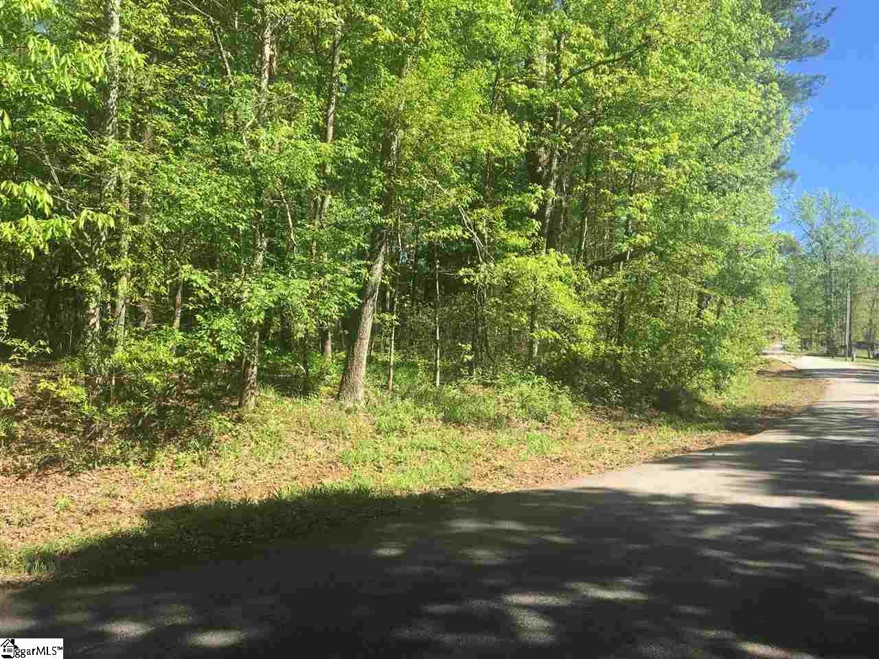 0 Hawkins Road - Photo 1