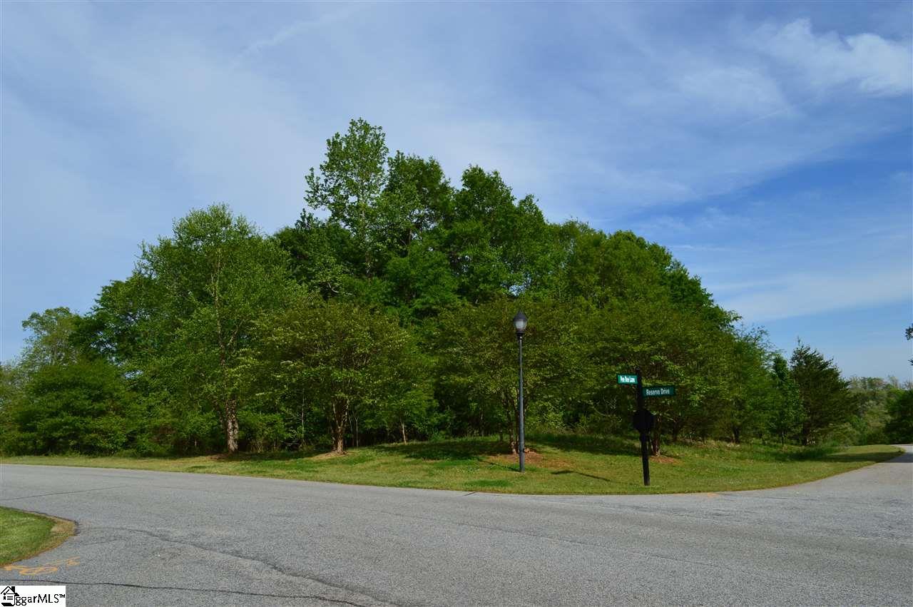101 Pee Dee Lane - Photo 1