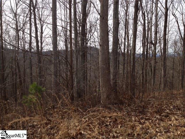 313 Laurel Valley Way - Photo 1