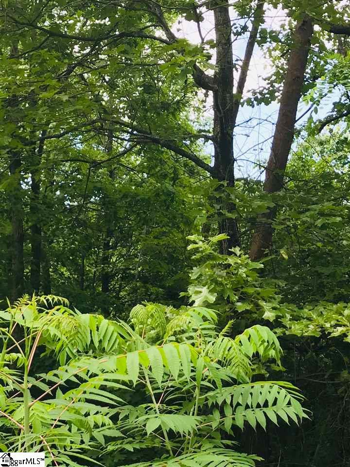00 Oak Grove Road - Photo 1