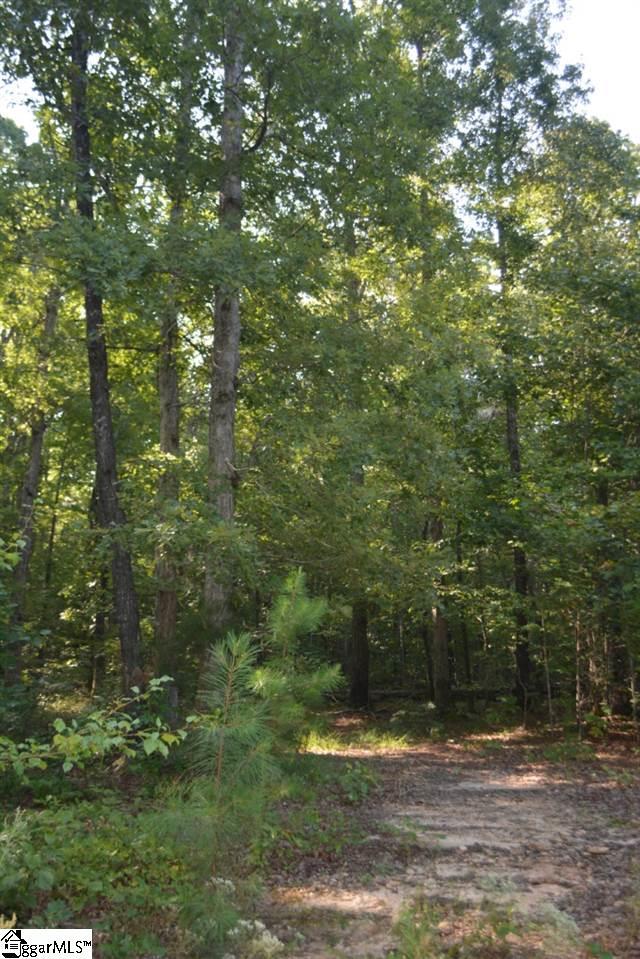 0 Pleasant Hill Road - Photo 1