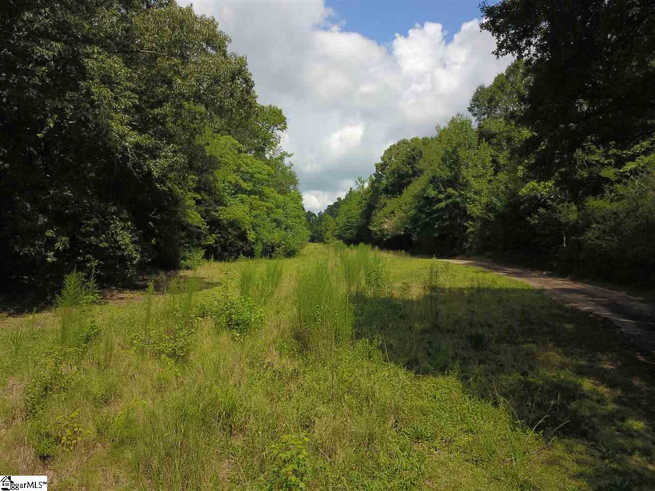 1111 Fork Shoals Road - Photo 1