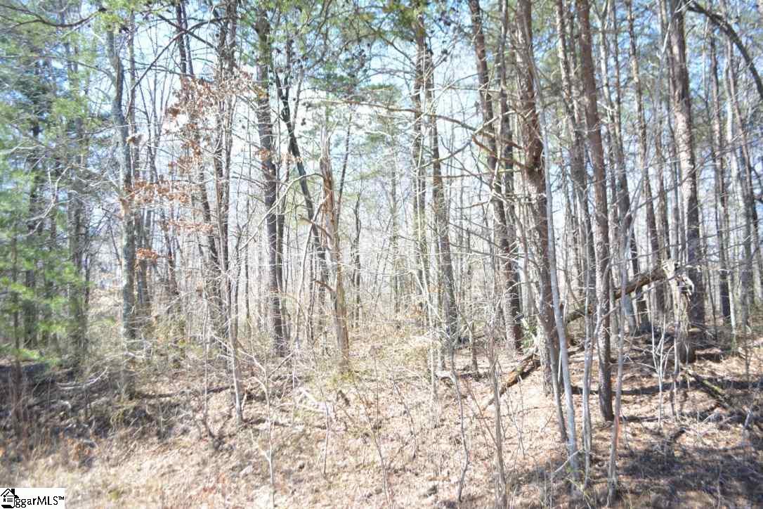 0 Bramlett Road - Photo 1