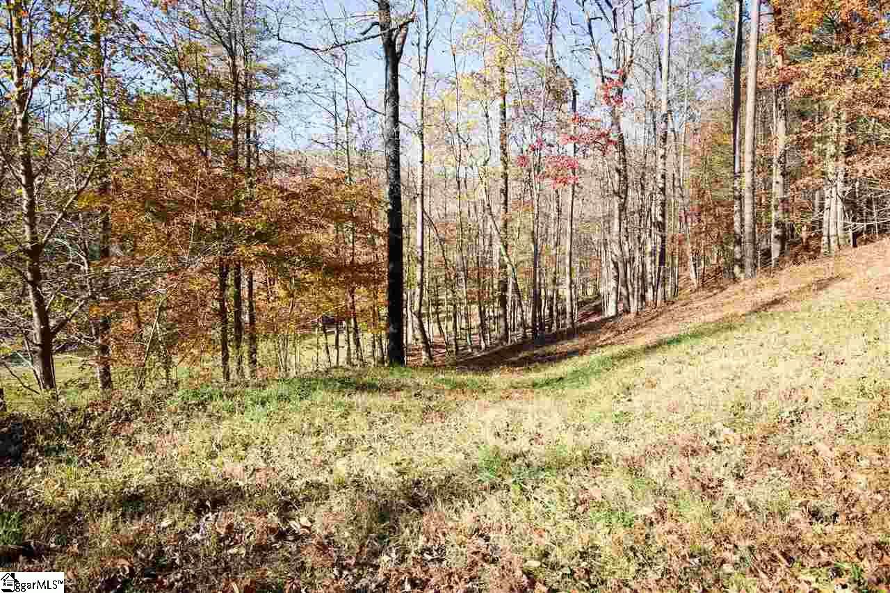 106 Buck Creek Trail - Photo 1