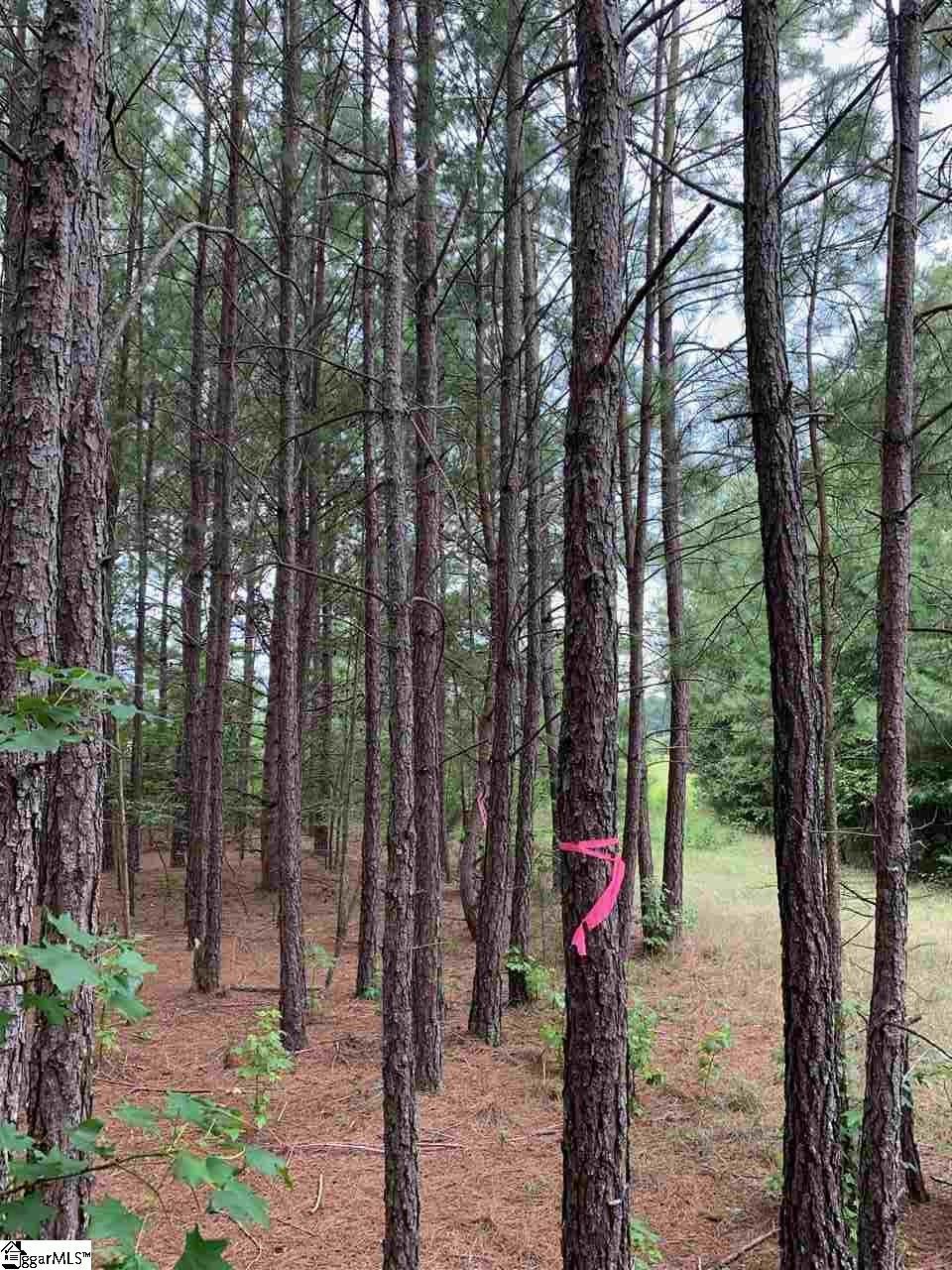 125 Gunter Road - Photo 1
