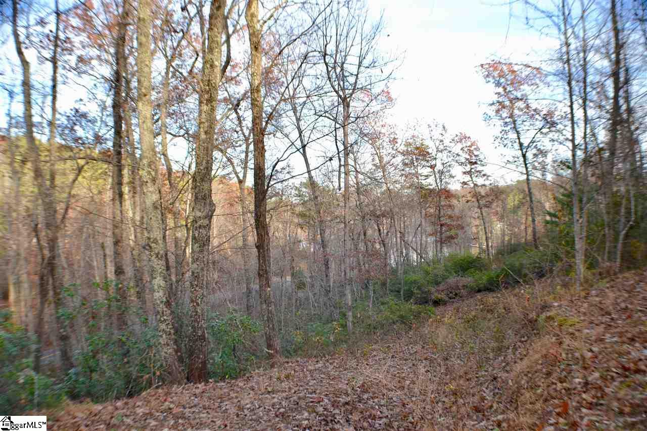 0 Caledonia Loop - Photo 1