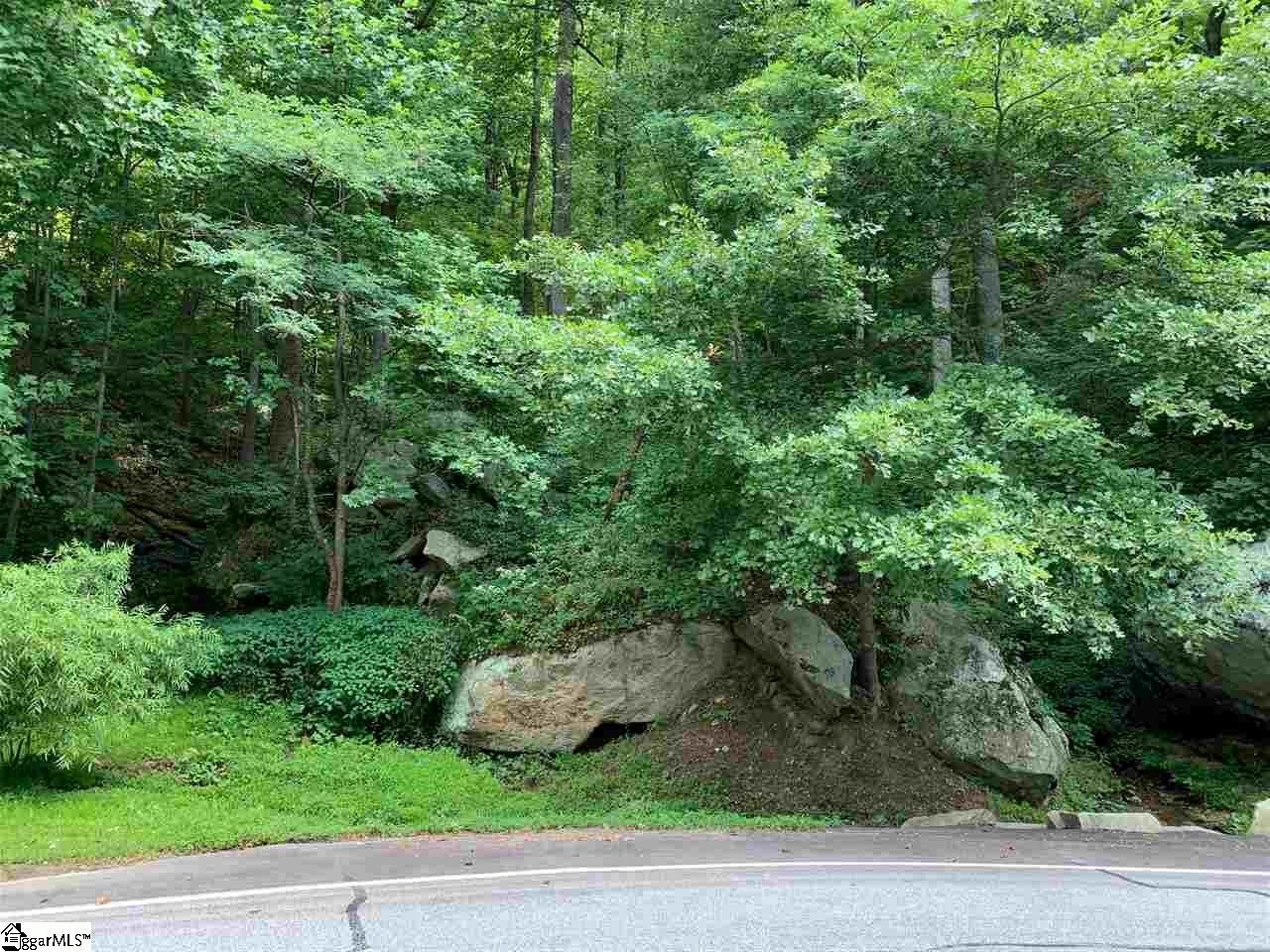 Flint Creek Road - Photo 1