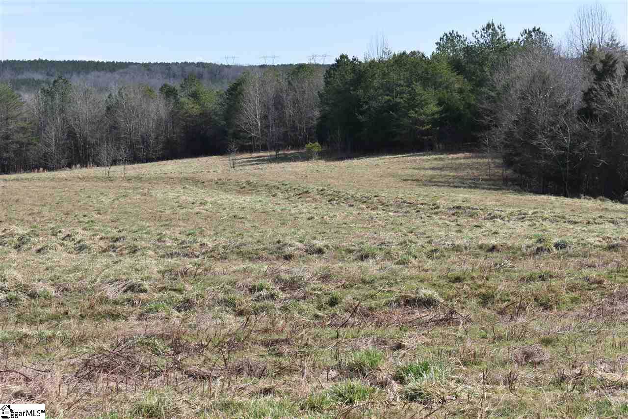 00CD Old Hills Bridge Road - Photo 1