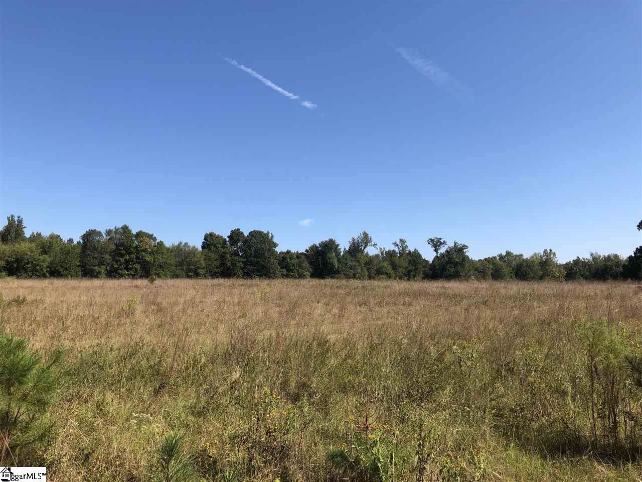 00 Old Calhoun Falls Road - Photo 1