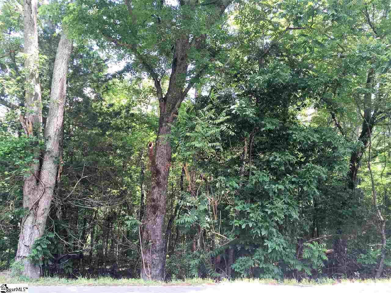2710 Brushy Creek Road - Photo 1