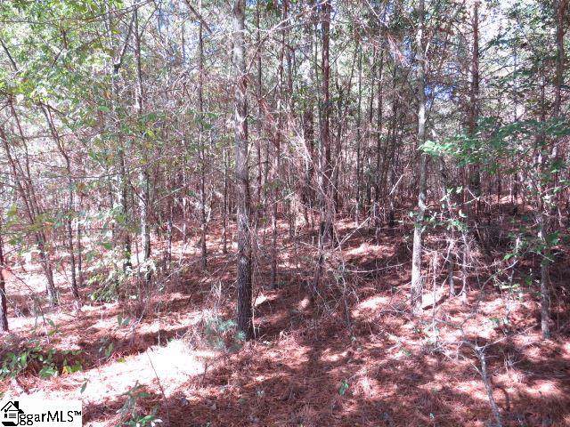 Mcneely Road - Photo 1