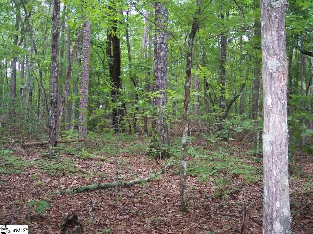 23B Curts Way - Photo 1