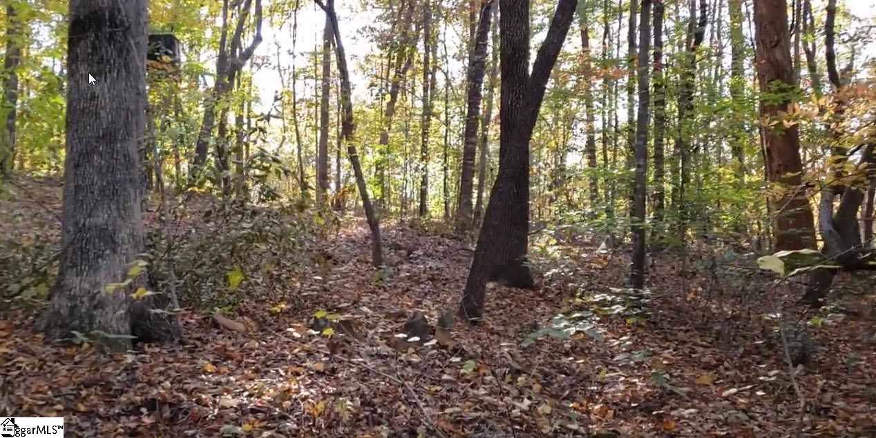 0 Belue Mill Road - Photo 1