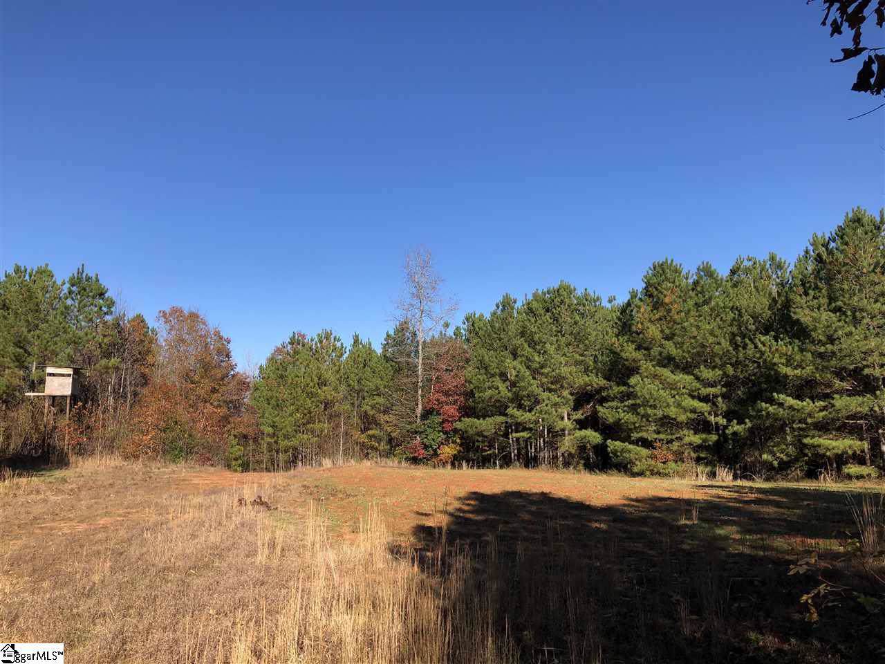 00 Dunklin Bridge Road, Fountain Inn, SC 29644 (1406891) Connie