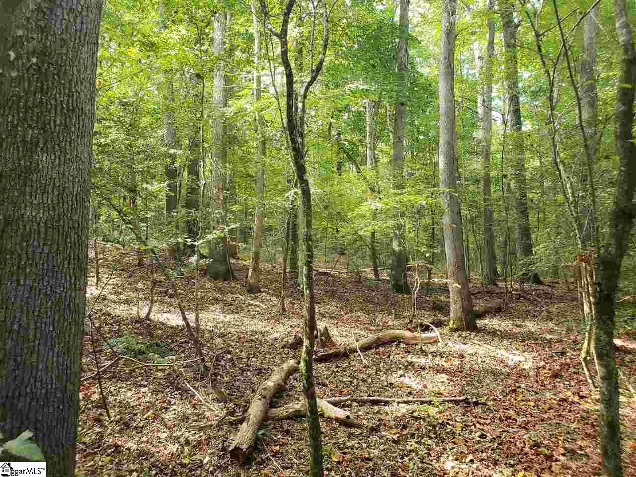 879 Dunklin Bridge Road - Photo 1