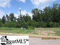 260 Audubon Acres Drive - Photo 1