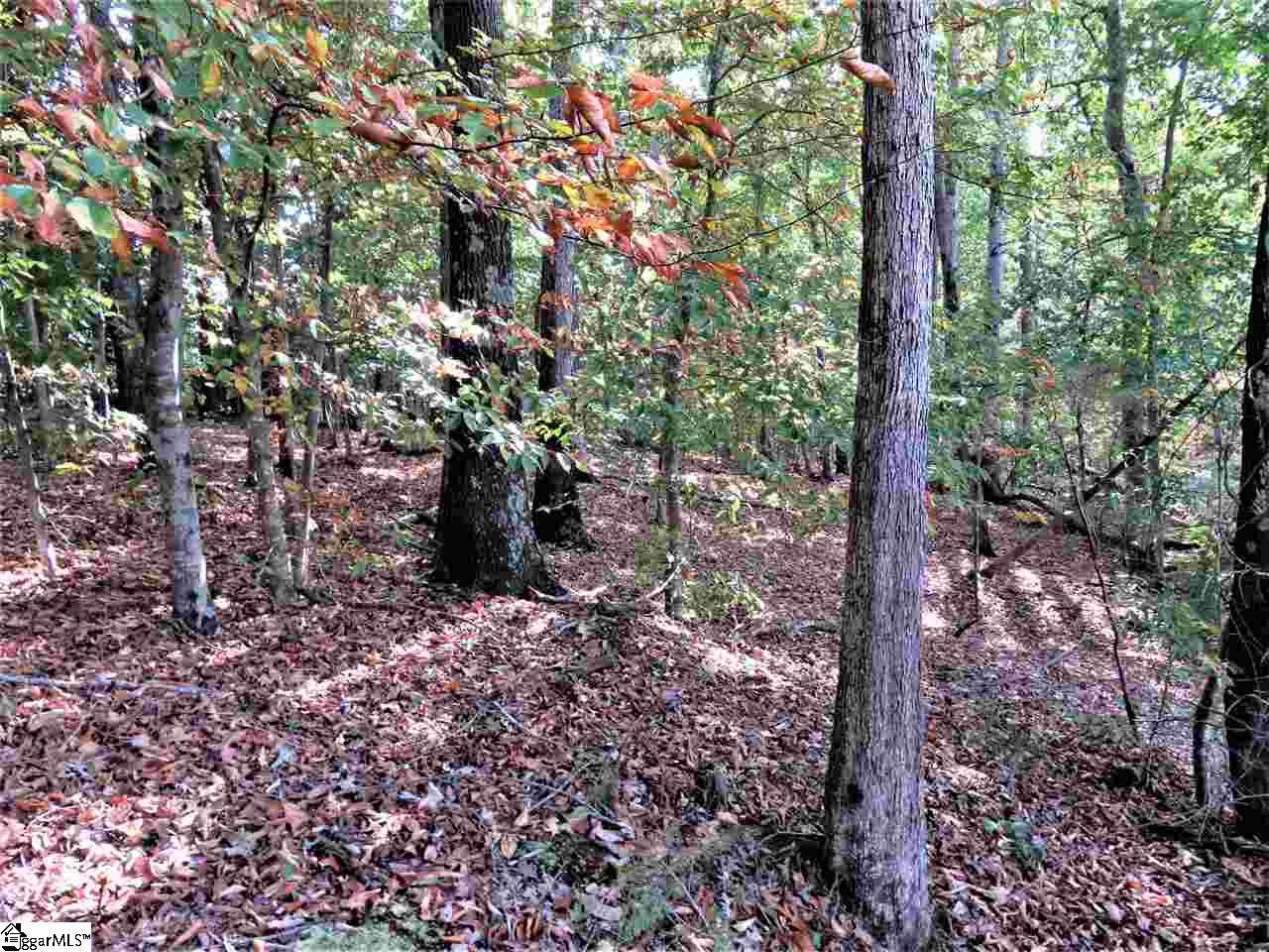 1601 Neely Ferry Road - Photo 1 1601 Neely Ferry Road - Photo 1