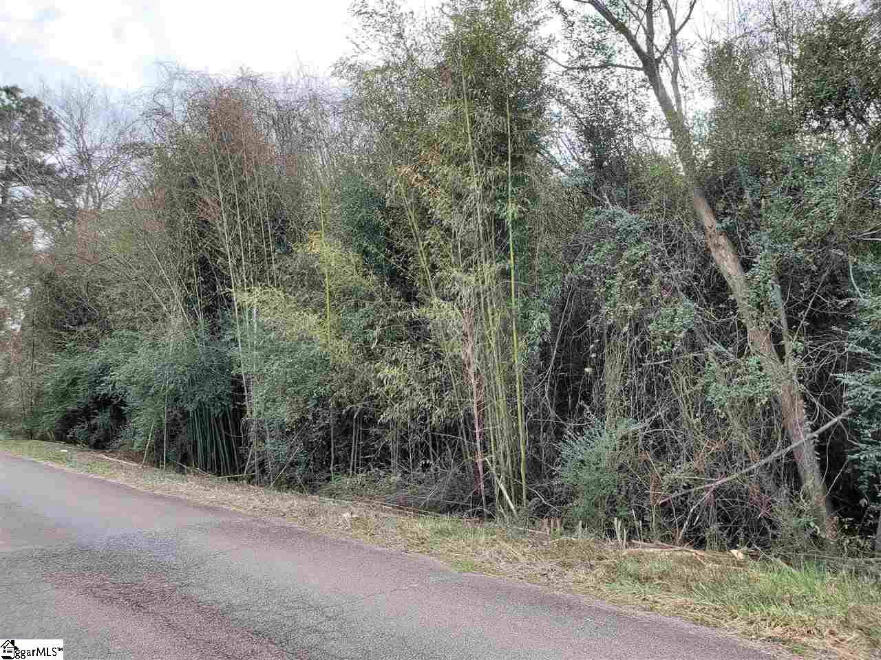 598 Buncombe Road - Photo 1