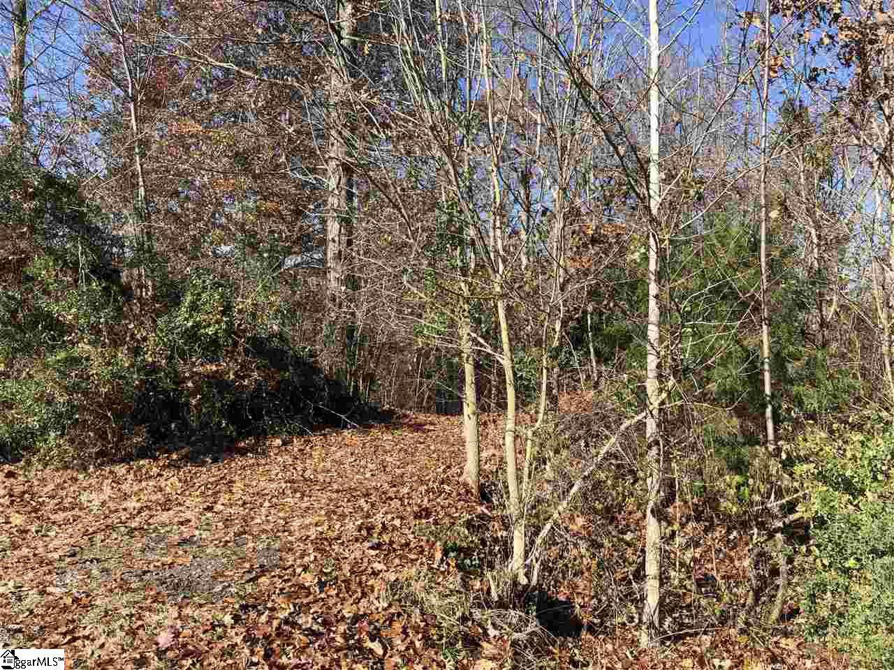 233 Catawba Crest Lane - Photo 1