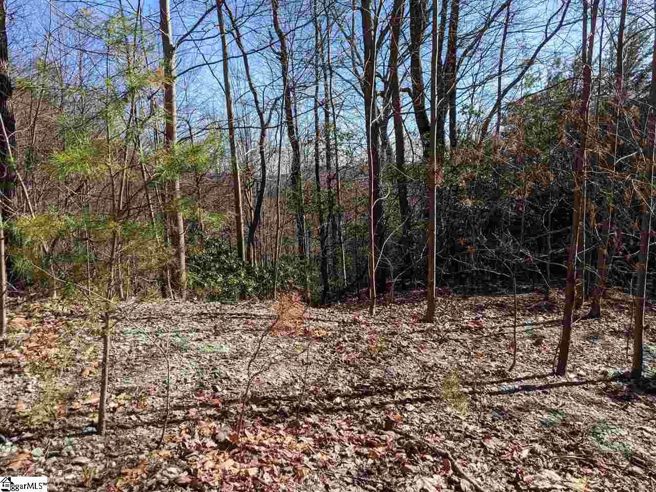 27 Mountain Oak Lane - Photo 1