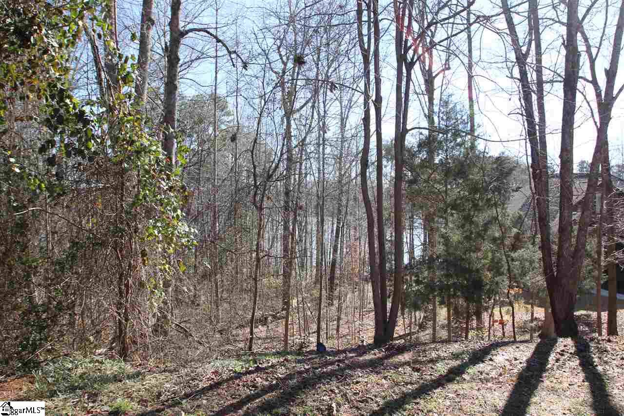 Bass Cove Drive - Photo 1