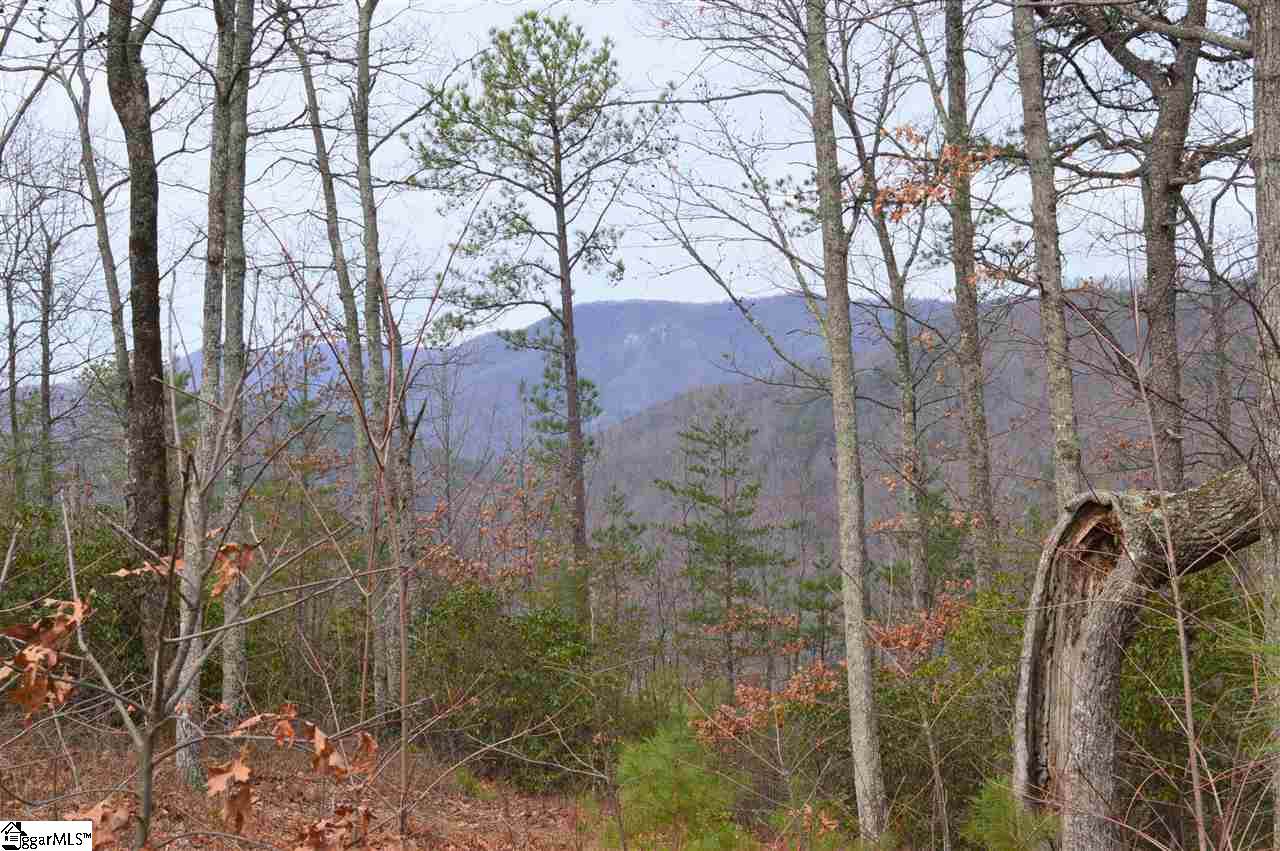 110 Upper Ridge - Photo 1