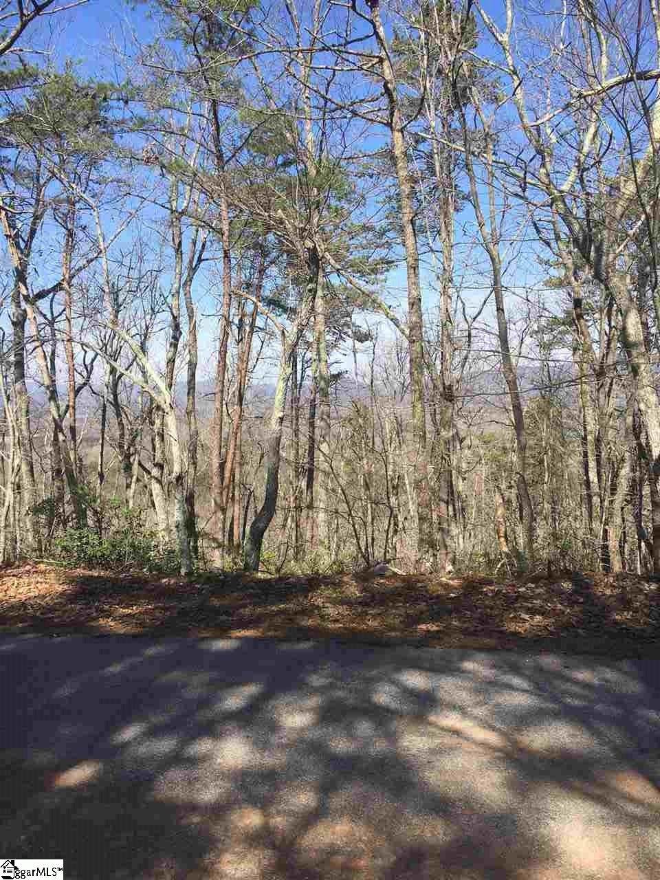 34021 Packs Mountain Ridge Road - Photo 1