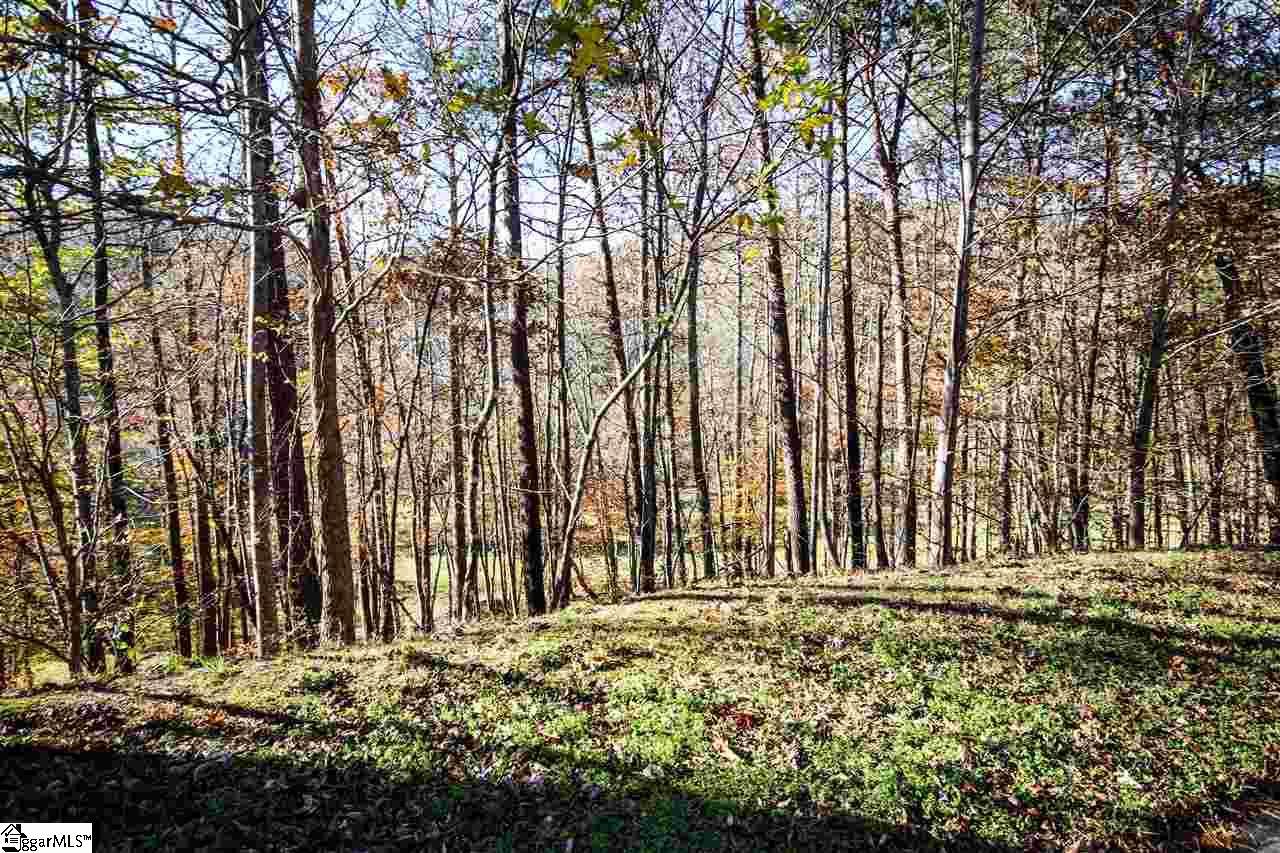 6 Crystal Brook Trail - Photo 1