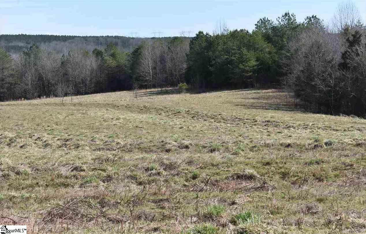 00CD Old Hills Bridge Road - Photo 1